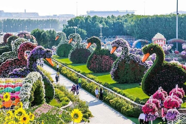 Dubai Miracle Garden & Global Village Evening Tour: Flowers, Food and Global Pavilions