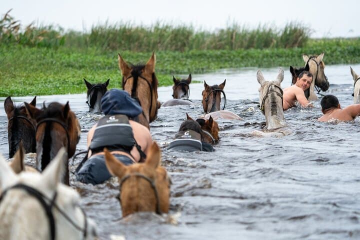 Iberá Wetlands on Horseback: 4-Day Gaucho Trail from Portal Carambola