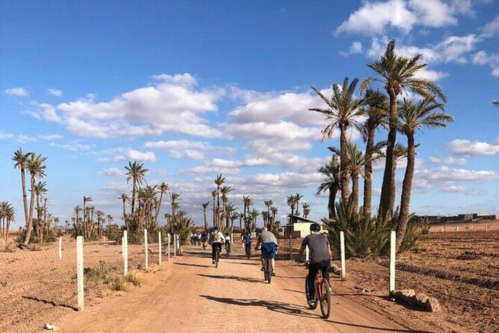 Cycle the Palmeraie: Marrakech Palm Desert Bicycle Tour photo 5