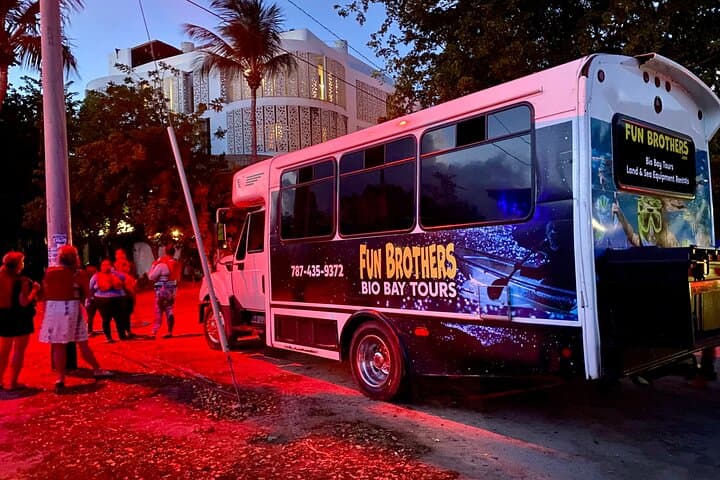 Night Paddle Through Mosquito Bay: Clear Kayak Bioluminescent Tours in Vieques photo 6