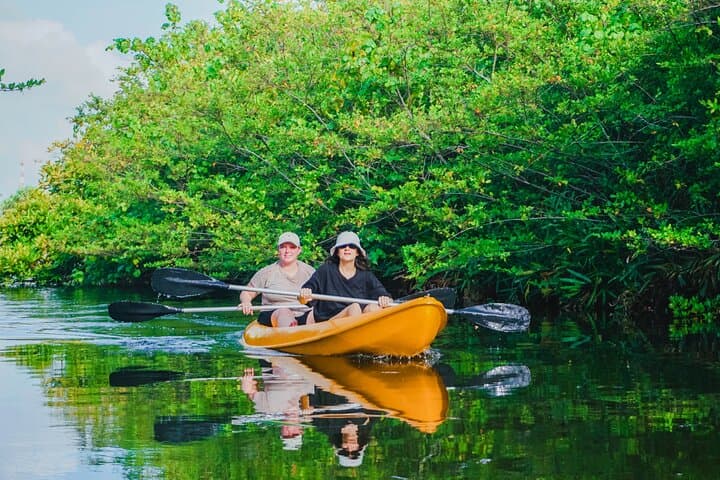 Akurala Mangrove Kayaking Near Hikkaduwa — Serene Wildlife Paddle photo 3