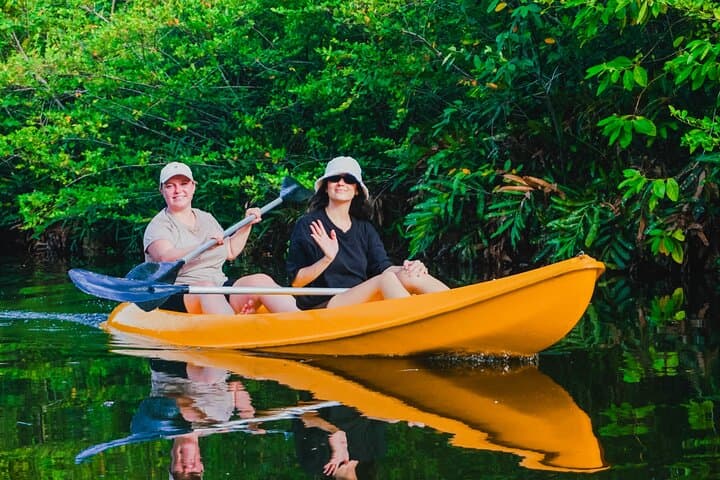 Akurala Mangrove Kayaking Near Hikkaduwa — Serene Wildlife Paddle photo 2