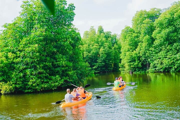 Akurala Mangrove Kayaking Near Hikkaduwa — Serene Wildlife Paddle photo 5