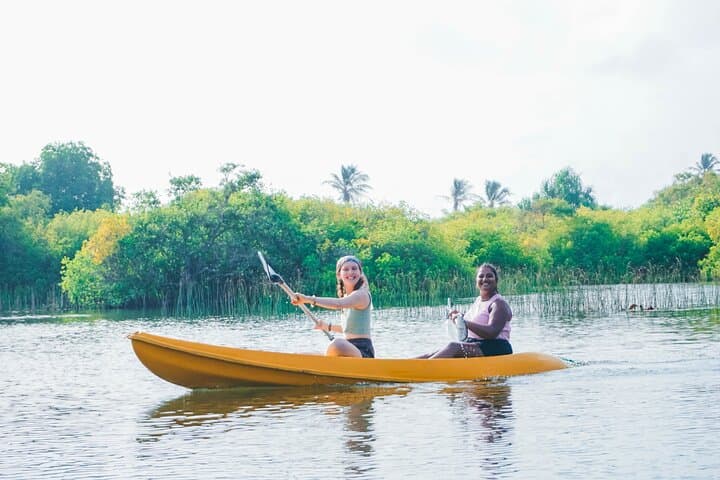 Akurala Mangrove Kayaking Near Hikkaduwa — Serene Wildlife Paddle photo 6