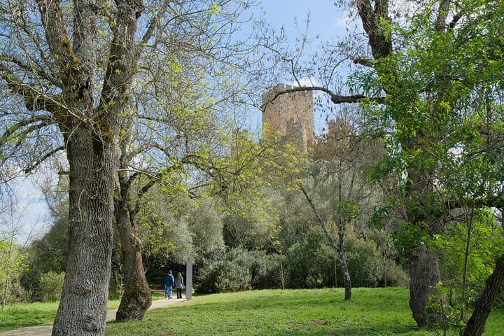 Templar River Tour: Tomar, Almourol Castle and Tagus Boat Ride from Lisbon photo 5