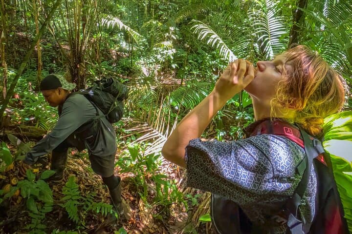 Into the Amazon: 4-Day Deep Jungle Survival Experience from Leticia photo 5