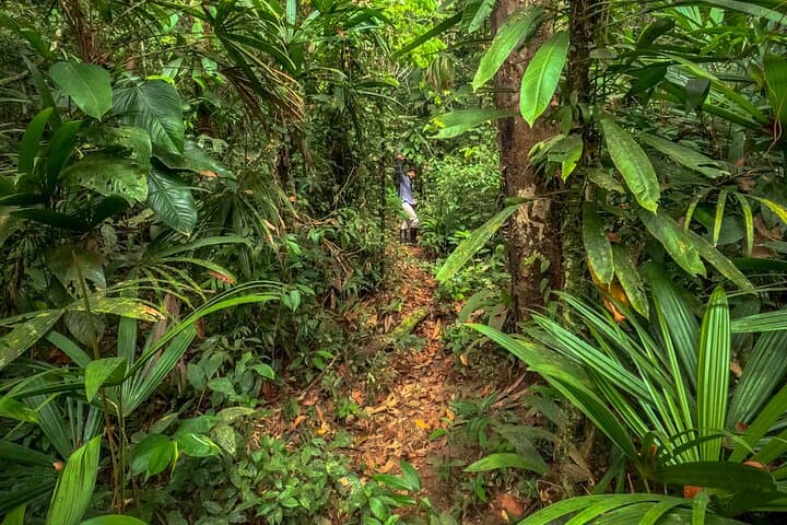 Into the Amazon: 4-Day Deep Jungle Survival Experience from Leticia photo 3