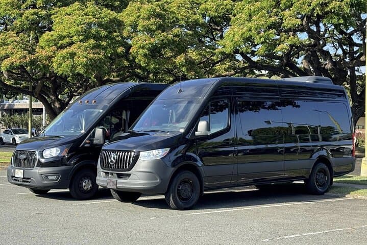 Honolulu Airport Transfer with Flower Lei Greeting — Private Waikiki Ride photo 3