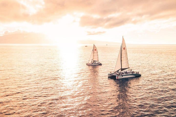 Golden Hour Whale Watch from Lahaina — Sunset Humpback Cruise on Alihilani photo 1