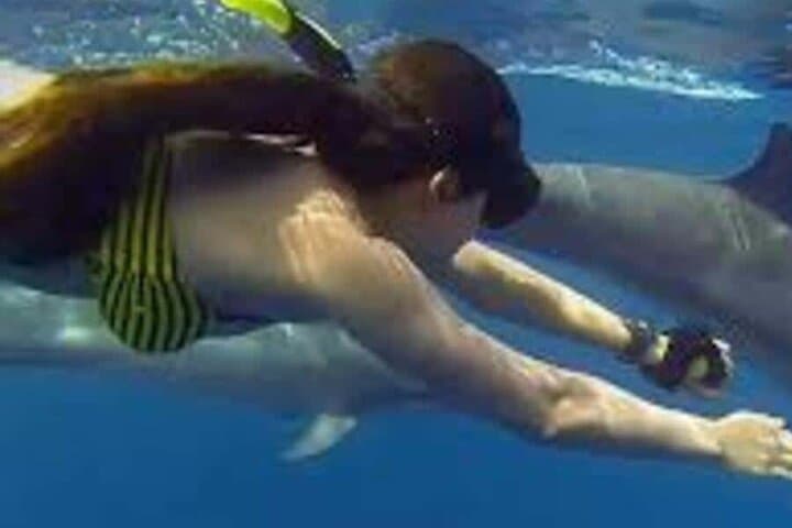 Mnemba Island Snorkel & Dolphin Tour from Nungwi with Lunch photo 4