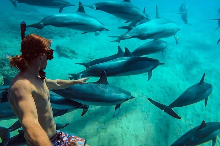 Mnemba Island Snorkel & Dolphin Tour from Nungwi with Lunch photo 6