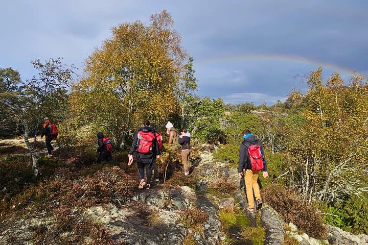 Day Hike to Landsort Lighthouse: Öja Island in the Stockholm Archipelago photo 5