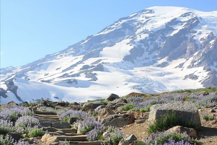Guided Mount Rainier Day Tour: Glaciers, Waterfalls & Sunrise Views