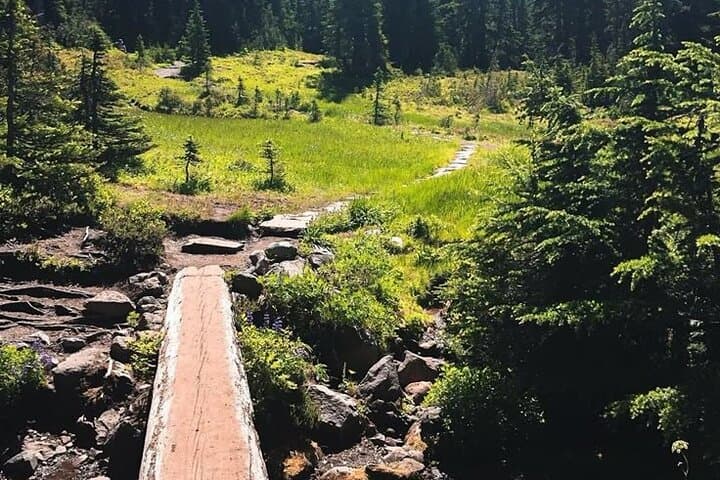 Guided Mount Rainier Day Tour: Glaciers, Waterfalls & Sunrise Views photo 2