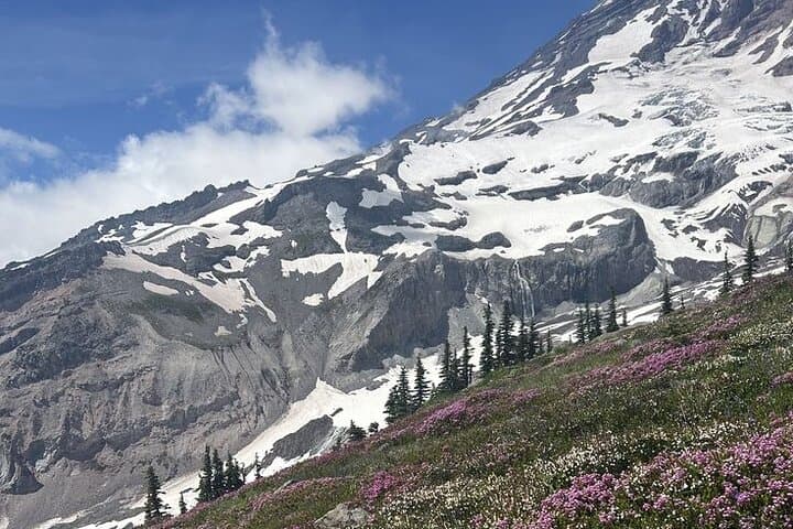 Guided Mount Rainier Day Tour: Glaciers, Waterfalls & Sunrise Views photo 3