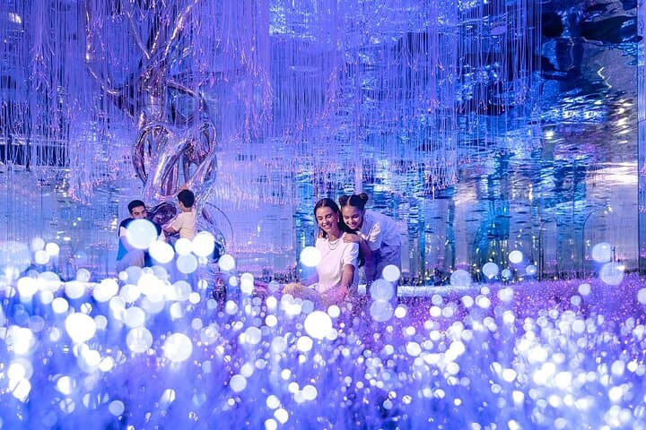 AYA Universe and Dubai Miracle Garden: Skip-the-Line Tickets for Immersive Art and Floral Spectacle photo 6