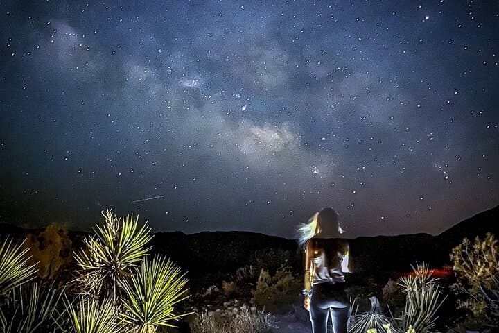 Palm Springs Stargazing Tour with Night Vision Goggles in Joshua Tree National Park
