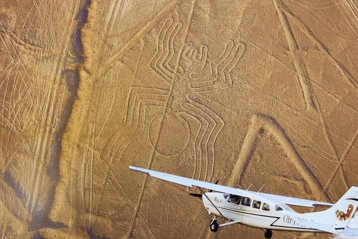 Fly the Nazca Lines and Sandboard Huacachina: Day Trip from Lima photo 4