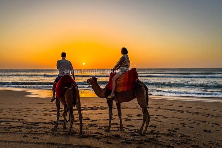 Sunset Camel Ride in Tangier: Cap Spartel & Hercules Caves Beach Experience photo 4