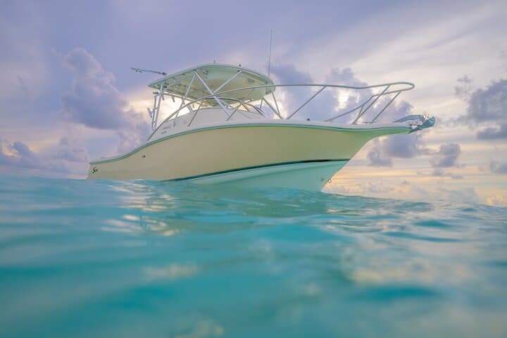Private Grand Cayman Boat Tour — Stingray City, Snorkel & Rum Point photo 6