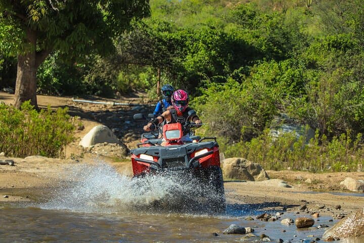 ATV and Camel Ride in the Cape Desert with Oceanfront Buffet — Cabo Adventure photo 5