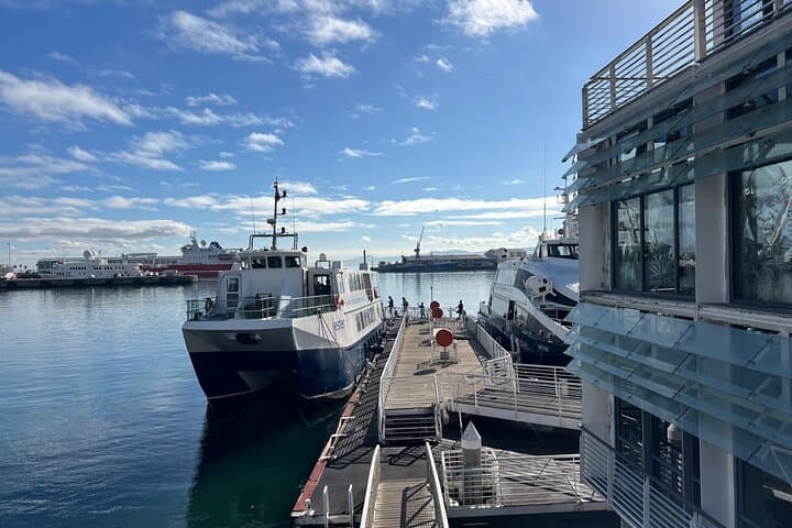 Robben Island Museum Ferry: Half-Day Tour from Cape Town photo 2
