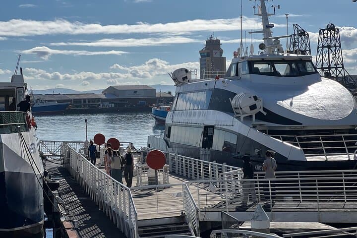 Robben Island Museum Ferry: Half-Day Tour from Cape Town photo 4