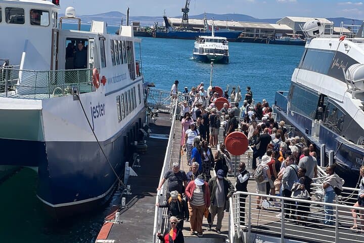 Robben Island Museum Ferry: Half-Day Tour from Cape Town