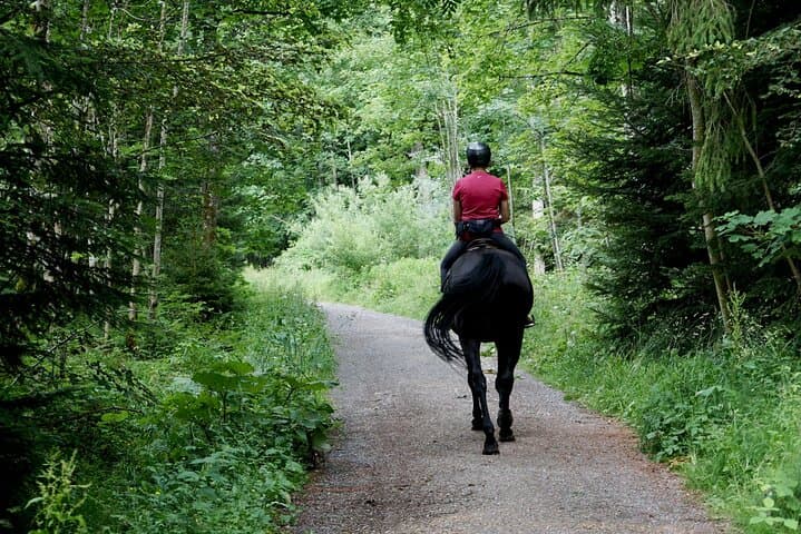 Half-Day Cancun Horseback Riding, Zipline, ATV & Cenote Adventure