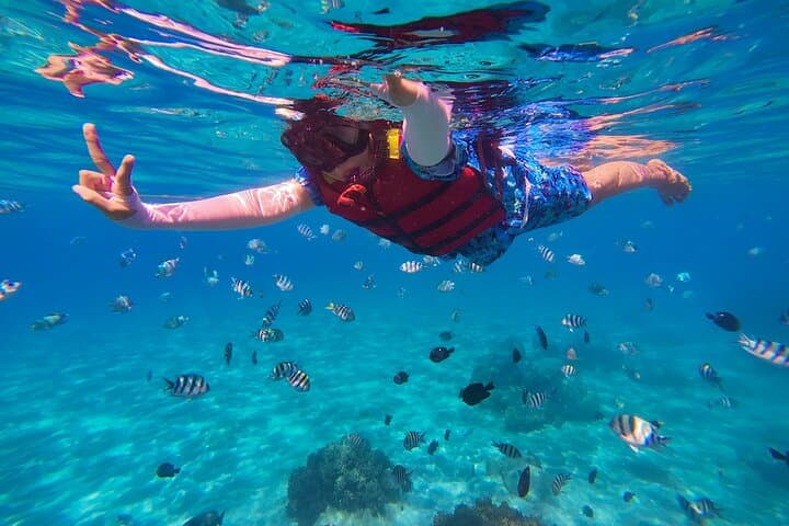 Cozumel Snorkel & Turtle Swim: El Cielo, El Cielito and Colombia Reef photo 1