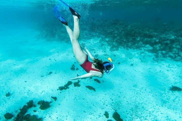 Cozumel Snorkel & Turtle Swim: El Cielo, El Cielito and Colombia Reef photo 3