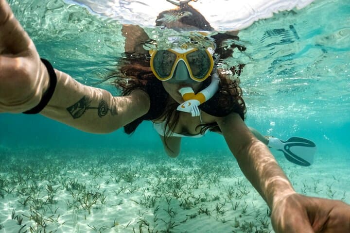 Cozumel Snorkel & Turtle Swim: El Cielo, El Cielito and Colombia Reef photo 4