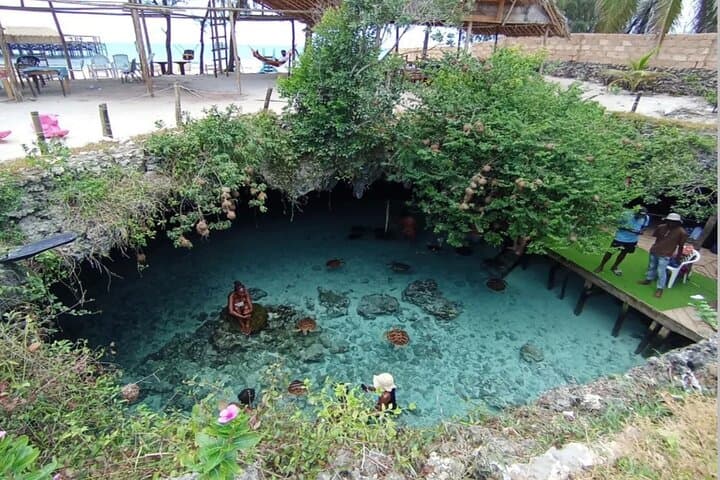 Turtles at Salam Cave, Jozani Forest & Paje Beach — Day Tour in Zanzibar photo 2