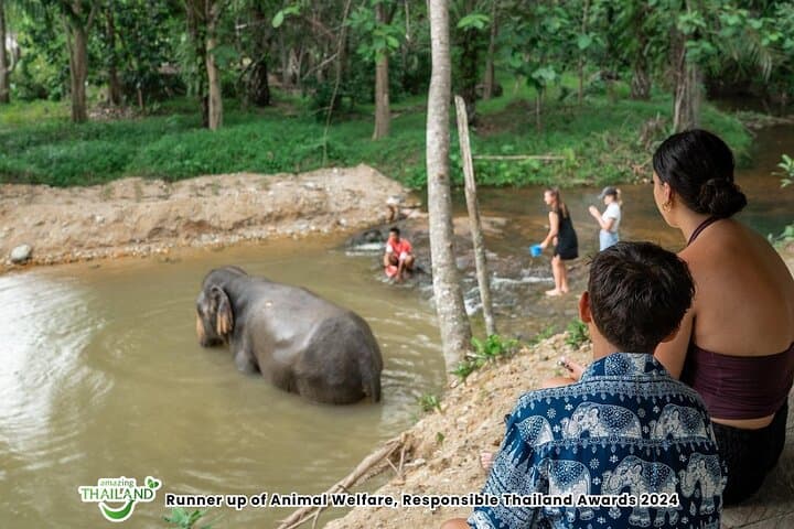 Khaolak Elephant Sanctuary Eco Tour — 2-Hour Jungle Encounter with Complimentary Photos photo 2