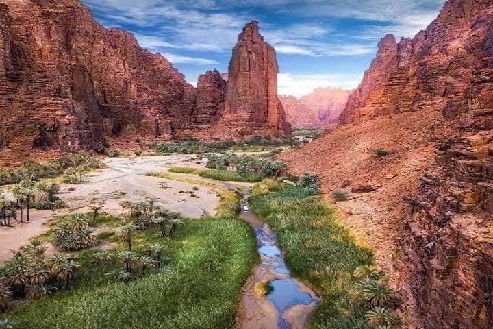 Wadi Al Disah Canyon Day Tour from Tabuk: Scenic Hike, Rock Formations & Bedouin Culture