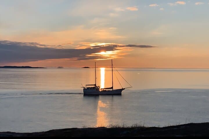 Arctic Fjords & Island Road Trip from Tromsø — Small-Group Scenic Tour photo 2