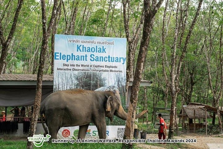 Khao Lak Elephant Sanctuary Small-Group Guided Tour — 90‑Minute Jungle Walk with Rescued Elephants photo 2