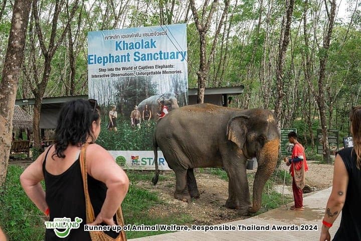 Khao Lak Elephant Sanctuary Small-Group Guided Tour — 90‑Minute Jungle Walk with Rescued Elephants photo 3