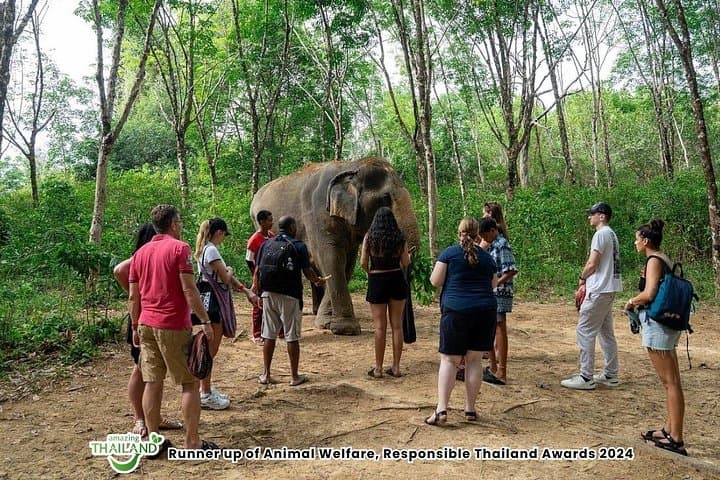 Khao Lak Elephant Sanctuary Small-Group Guided Tour — 90‑Minute Jungle Walk with Rescued Elephants photo 4