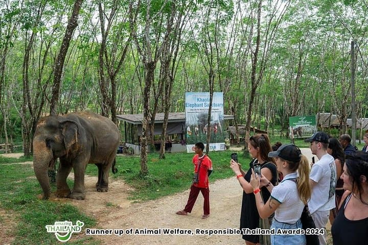 Khao Lak Elephant Sanctuary Small-Group Guided Tour — 90‑Minute Jungle Walk with Rescued Elephants photo 1
