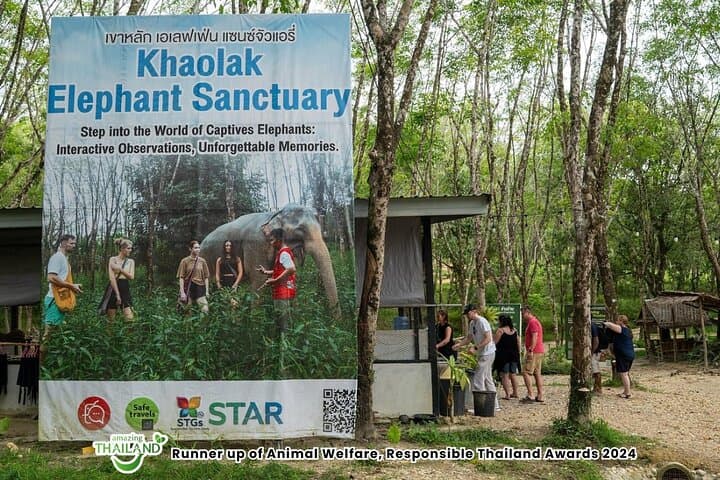 Twilight at Khaolak Elephant Sanctuary: Evening Guided Tour with Cocktail