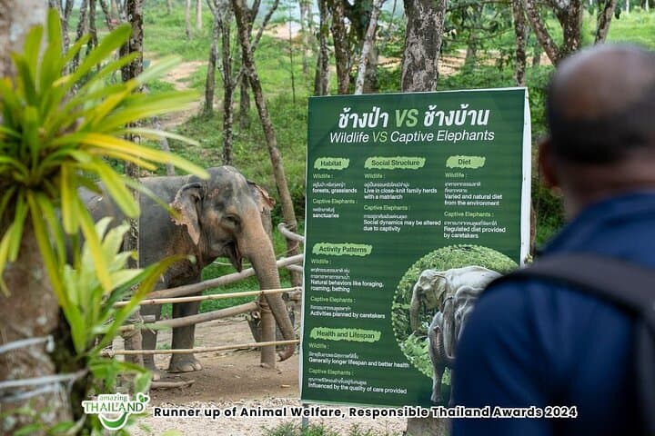 Twilight at Khaolak Elephant Sanctuary: Evening Guided Tour with Cocktail photo 2