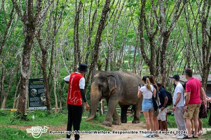 Twilight at Khaolak Elephant Sanctuary: Evening Guided Tour with Cocktail photo 4