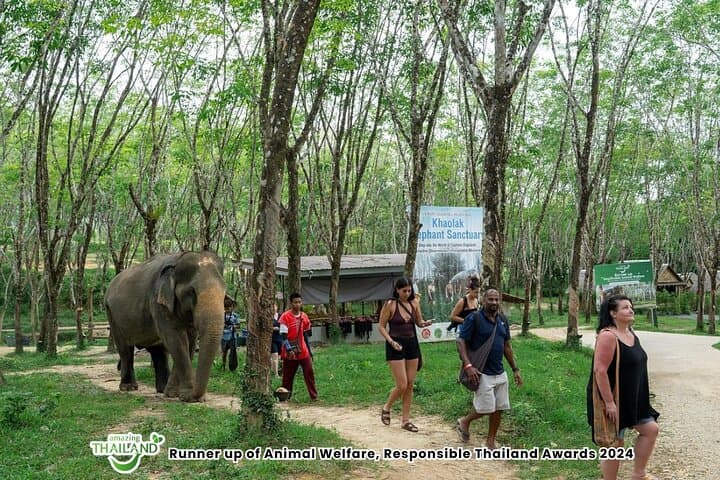 Twilight at Khaolak Elephant Sanctuary: Evening Guided Tour with Cocktail photo 5