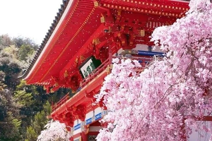 Katsuo-ji Temple: Victory Daruma and a Forest Walk Near Osaka photo 3