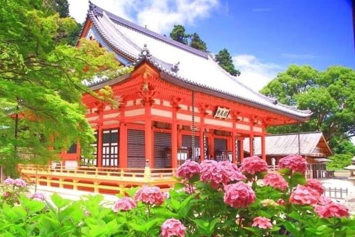 Katsuo-ji Temple: Victory Daruma and a Forest Walk Near Osaka