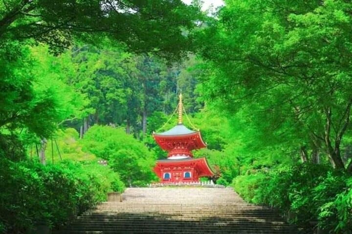 Katsuo-ji Temple: Victory Daruma and a Forest Walk Near Osaka photo 6