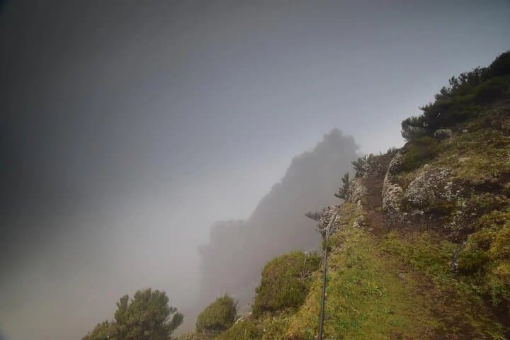 Vereda do Fanal PR13: Hike Madeira's Ancient Laurissilva Forest photo 5