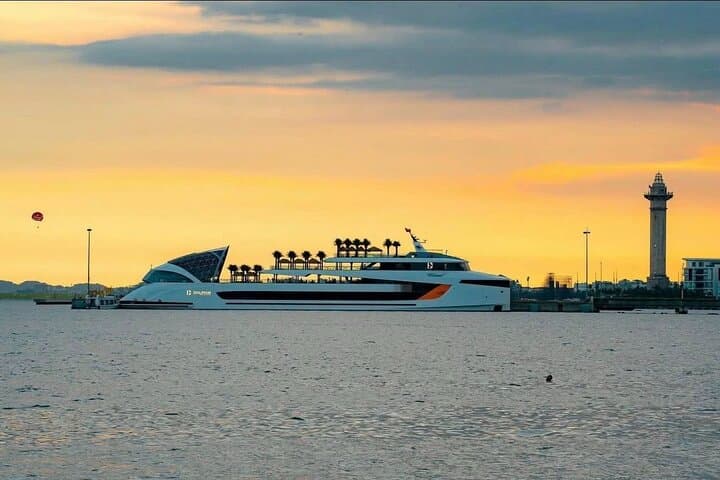 Ha Long Bay Dolphin Cruise: 5-Star Day Cruise with Pool, Buffet Lunch & Luon Cave