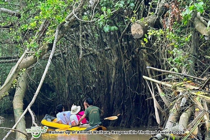 Khao Lak Elephant Sanctuary and Little Amazon Canoe Tour — Mangroves & Wildlife photo 2